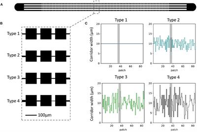 Variance in Landscape Connectivity Shifts Microbial Population Scaling